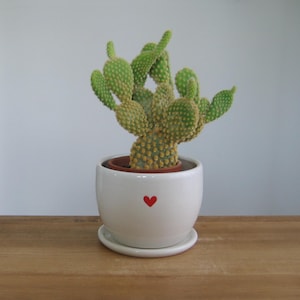 Small Pottery Heart Plant Pot: White Ceramic Cactus Succulent Planter with Tray