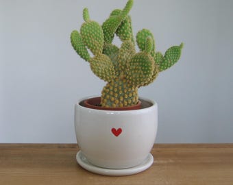 Small Pottery Heart Plant Pot: White Ceramic Cactus Succulent Planter with Tray