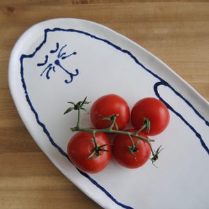 May include: White oval ceramic serving platter with a blue cat face design and border. Four red tomatoes on a vine rest on the platter. The platter is on a wooden surface.