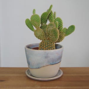 May include: A potted cactus with green, paddle-shaped leaves and yellow spines. The cactus sits in a ceramic pot with a blue and cream glaze, resting on a matching saucer. The pot is on a wooden surface.