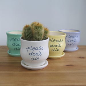 SMALL Ceramic succulent planter, Please Don't Die, Pottery plant pot with drainage tray