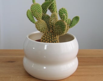 May include: A potted cactus with green, paddle-shaped leaves and yellow-brown spots. The cactus sits in a white, double-lobed ceramic pot. The pot has a glossy finish and is placed on a wooden surface.