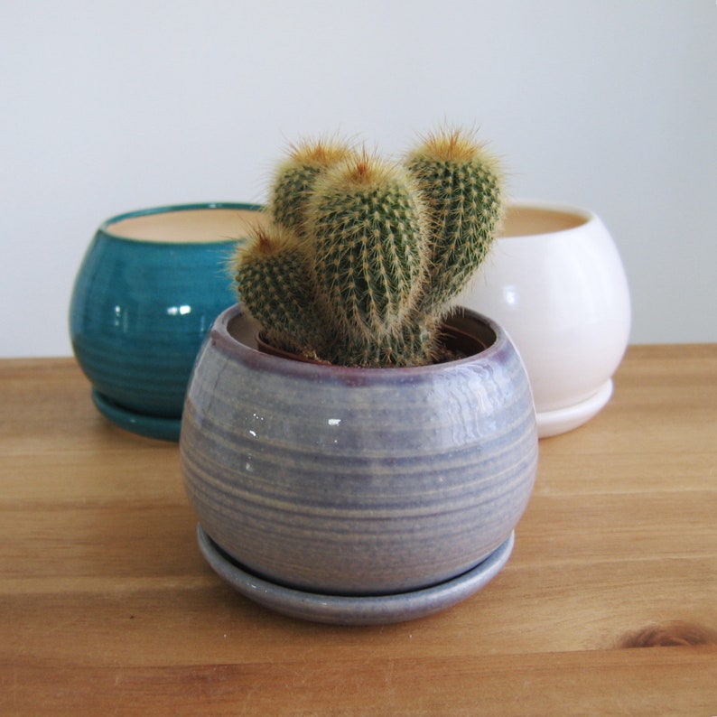 Au choix : petite jardinière pour cactus ou succulentes avec système de drainage, cache-pot et plateau en poterie, paon, blanc, sphère en céramique sur le rebord de la fenêtre image 2