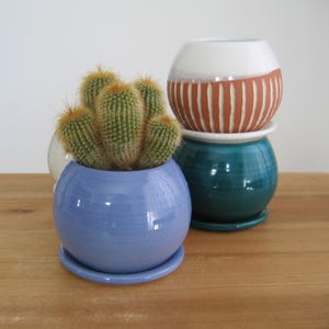 Könnte beinhalten: Ein kleiner Kaktus in einem hellblauen Keramiktopf mit passender Untertasse. Dahinter sind zwei weitere Keramiktöpfe gestapelt: ein türkisfarbener Topf mit einem weiß-braun gestreiften Topf obenauf. Die Töpfe stehen auf einer Holzoberfläche.