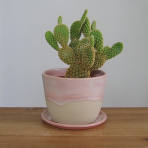 Kleiner Blumentopf in rosa mit tropfender Glasur