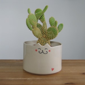 May include: A small, light-colored ceramic planter with a cat face design, holding a green cactus. The planter has a smiling face with pink cheeks and a red heart. The cactus has multiple green pads.