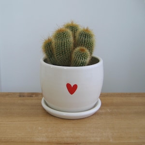 Small Pottery Heart Plant Pot: White Ceramic Cactus Succulent Planter with Tray