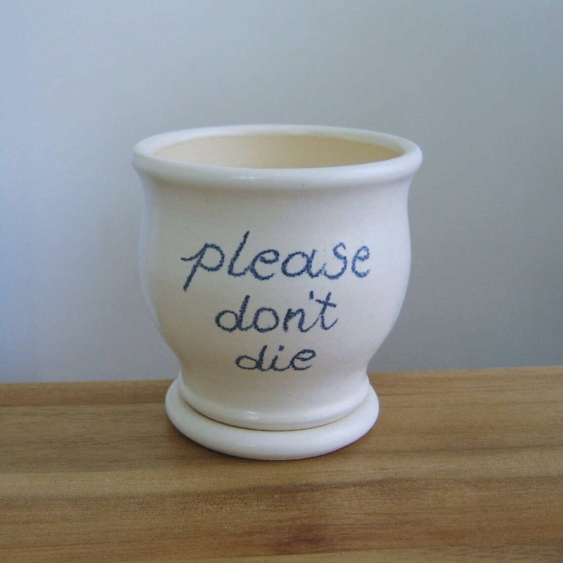 Ceramic Succulent Planter Please Don't Die Gag Gift Etsy