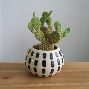 Funky Keramik Blumentopf: Moderner Keramik Übertopf