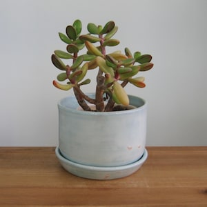 Pale Blue Pottery Plant Pot with Drainage Tray: Medium Minimalist Ceramic Succulent Planter