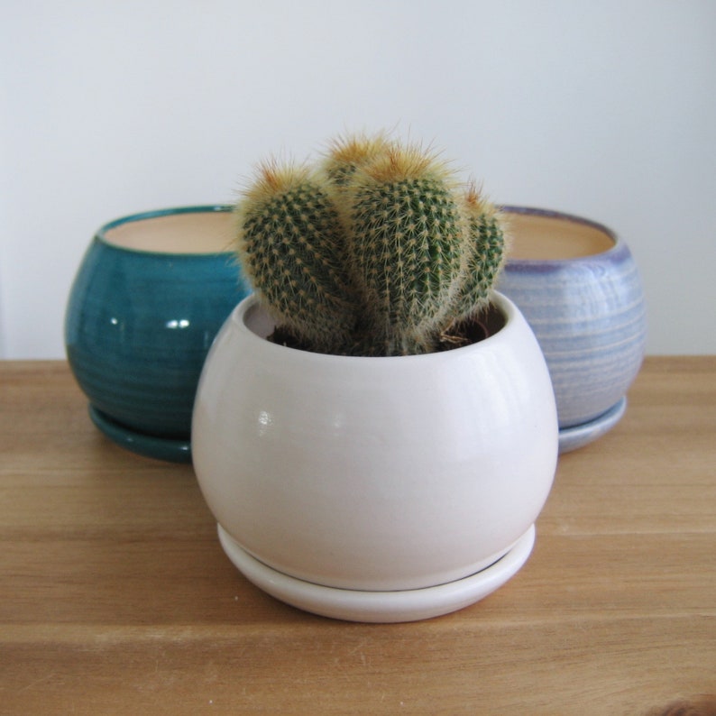 Au choix : petite jardinière pour cactus ou succulentes avec système de drainage, cache-pot et plateau en poterie, paon, blanc, sphère en céramique sur le rebord de la fenêtre image 1