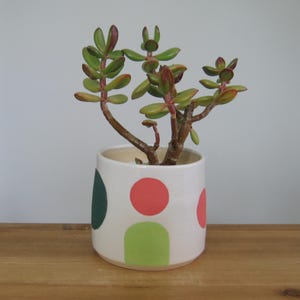 May include: A white ceramic plant pot with a green, red, and lime green polka dot pattern, containing a succulent plant. The plant has green leaves with red edges. The pot sits on a wooden surface.