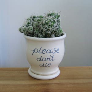 KLEINE keramische succulente plantenbak, alsjeblieft niet sterven, gag gift, aardewerk plantenpot met afvoerbak, vensterbank plantenbak, witte bloempot, mint