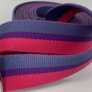 May include: A pink, purple, and blue striped woven webbing strap. The strap is rolled up and has a silver buckle.