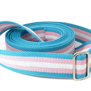 May include: A blue, pink, and white striped strap with a silver buckle. The strap is rolled up and ready to be used.