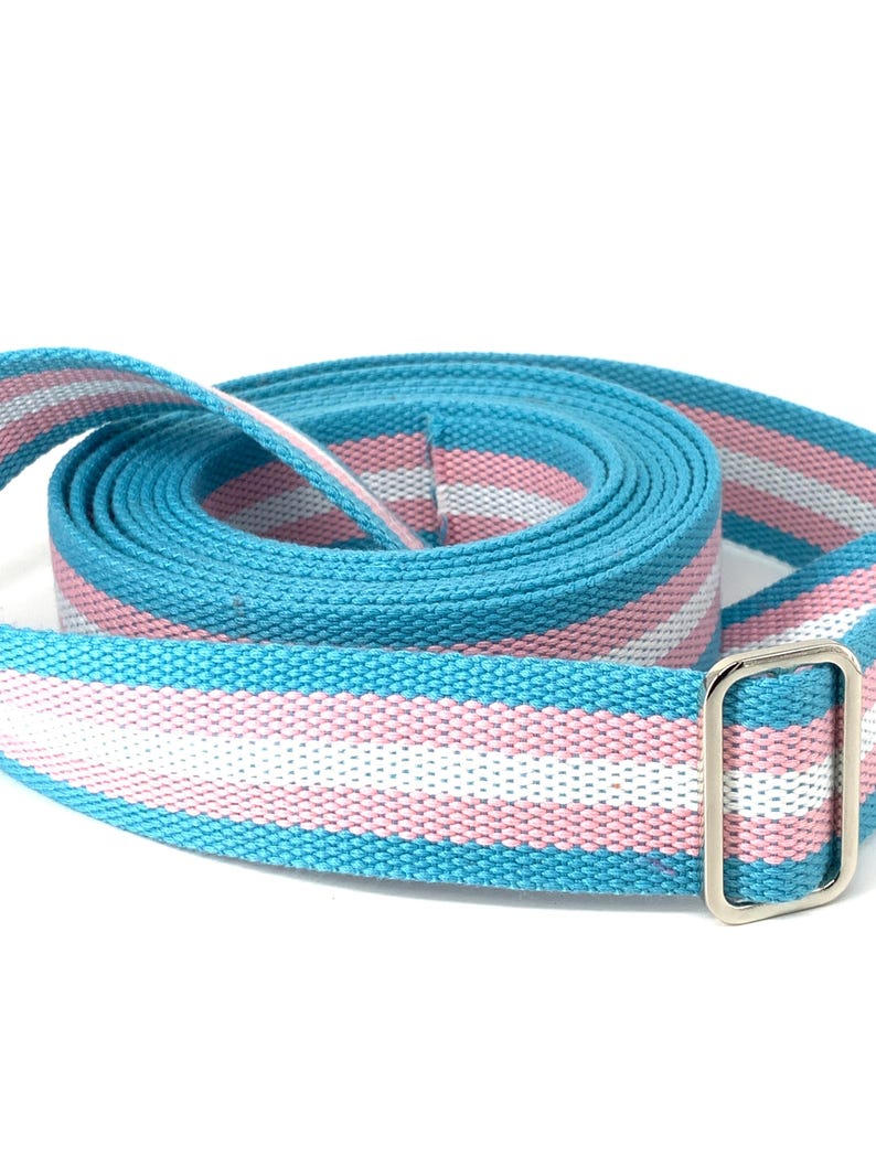 May include: A blue, pink, and white striped strap with a silver buckle. The strap is rolled up and ready to be used.
