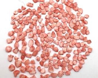 Large Amount Natural of Pink Angel Skin Coral Loose Slab Beads Jewelry Making
