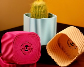Maceta, decoración minimalista moderna, ecológica