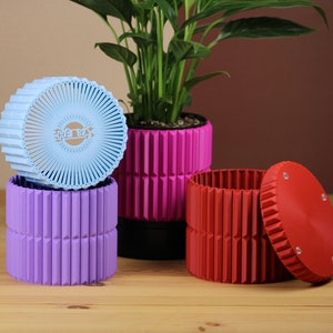 Puede incluir: Una colección de coloridas macetas y recipientes de almacenamiento geométricos. Las macetas son de color rosa y rojo, mientras que los recipientes son de color azul claro y morado. El recipiente azul claro tiene el texto "THEMA" en la tapa. Una planta verde está en la maceta rosa.