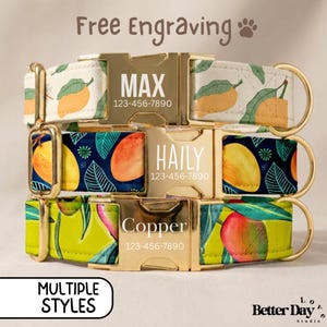 Mango Dog Collar, Personalized Engraved Dog Collar With Name, Tropical Mango Puppy Collar, Mango Lover Dog Mom Gift, Matching Dog Leash Sets