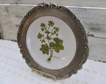 Vintage Bavaria Botanical Plate with Pewter Edges