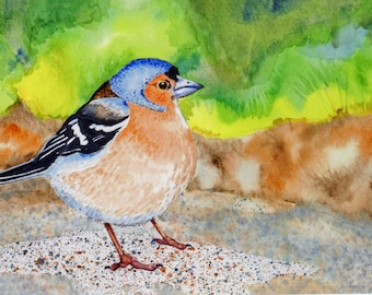 Limited-Edition Print of Original Watercolor Painting of a Chaffinch (Bird)