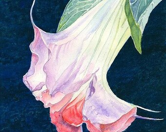 Limited-Edition Giclee Print of Original Watercolor Painting of a Trumpet Flower