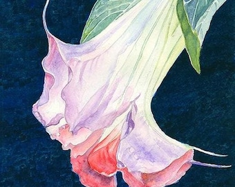 Limited-edition Giclee Print of an Original Watercolor Painting of a Trumpet Flower
