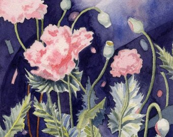 Limited-Edition Print of Watercolor Painting of a Poppy Flower