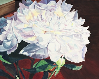 White Peony Watercolor Painting - Print