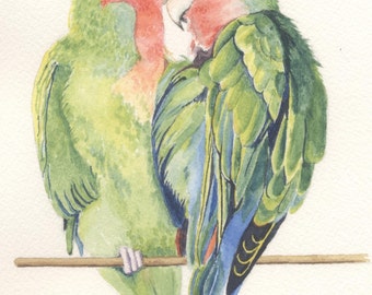 Lovebirds - fine art quality giclee print