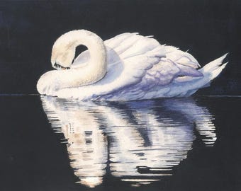 Limited-Edition, Signed Giclee Print of Original Watercolor Painting of a Swan