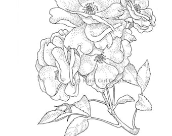 Limited-Edition Print of Pen and Ink Drawing "Rose"