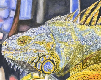 Iguana Watercolor Painting - Print
