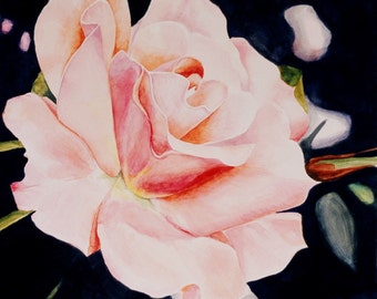 Pink Rose - Giclee Print of Original Watercolor (Unframed)