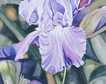 Purple Iris - Fine Art Giclee Print of Original Watercolor Painting