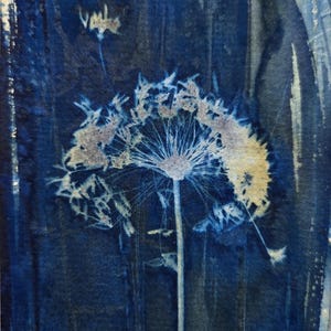 Ghost II - Original Wet Cyanotype  Print of Dwarf Papyrus Seedhead, Botanical Art, OOAK 6&quot; x 4&quot; Alternative Photography Art.