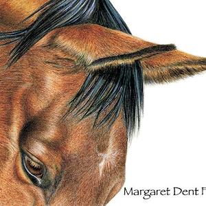 Equine Thoroughbred Horse Racing Art Print Colored Pencil Drawing Horse Home Decor.