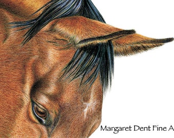 Equine Thoroughbred Horse Racing Art Print Colored Pencil Drawing Horse Home Decor.