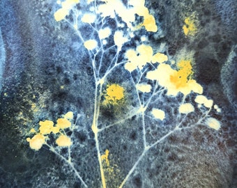 Wet Cyanotype Original Print of Baby's Breath, Flower Botanical Art, Art in Blue, OOAK 10" x 7" Handmade Monochromatic Blue Art.