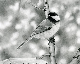 Nature Bird Chickadee Art 8 x 10 Print Graphite Pencil Drawing Black and White Decor.
