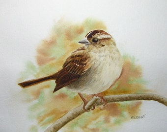 Custom bird watercolor painting, custom artwork, commissioned art, original bird art 5 x 7.