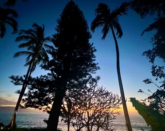 Puede incluir: Una escena costera al atardecer con palmeras silueteadas y otra vegetación tropical. El cielo transita del azul oscuro al naranja y amarillo, reflejándose en el mar. La imagen captura un paisaje natural sereno y tranquilo.