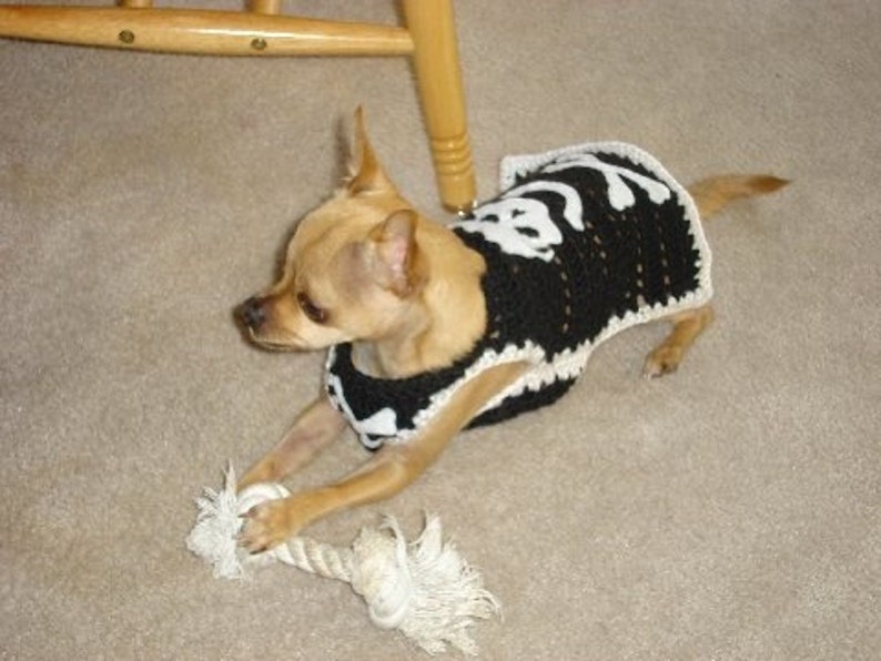 BAD To The BONE Skull and Cross Bones Eco friendly 2 to 20 lb dogs Biker, Pirate sweater image 4