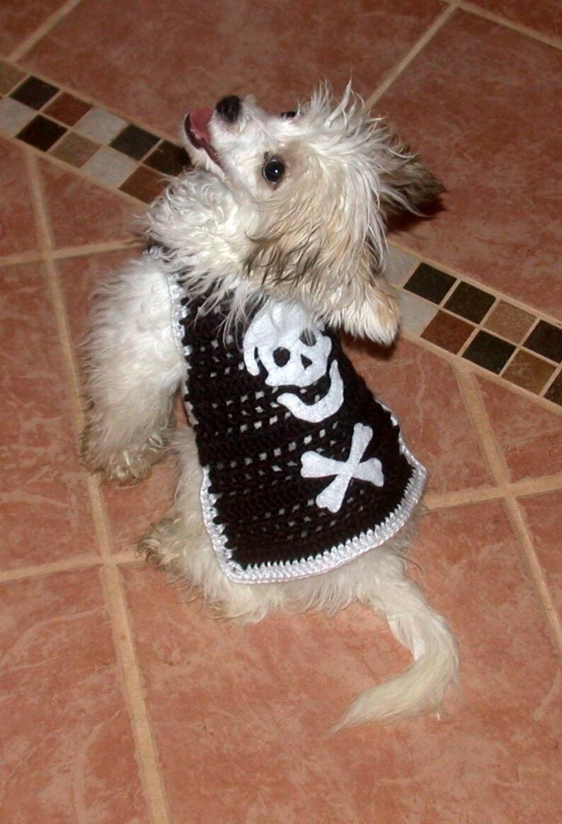 BAD To The BONE Skull and Cross Bones Eco friendly 2 to 20 lb dogs Biker, Pirate sweater image 3