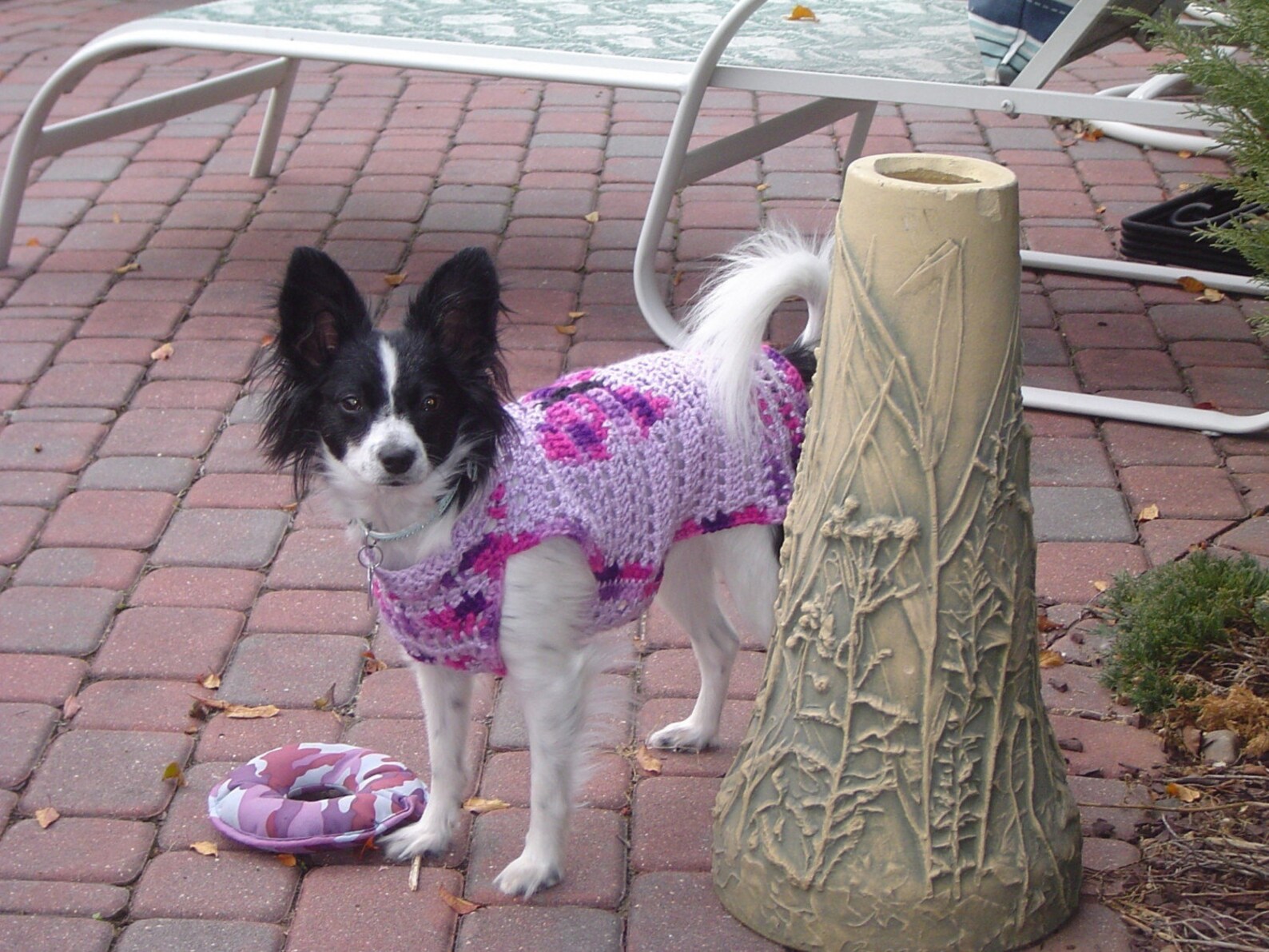 Dog Sweater BUTTERFLY KISSES in Lavender or Beach Colors Etsy
