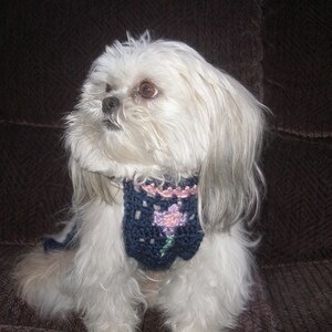 FUZZY has a GIRLFRIEND dog sweater Many colors Westie face avail-2 to 20 lb dogs image 5