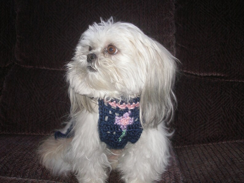 FUZZY has a GIRLFRIEND dog sweater Many colors Westie face avail-2 to 20 lb dogs image 5