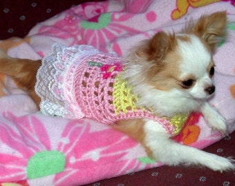 SASSY IN LACE sweater with 3 inch lace - up to 20 lb dogs- made to order