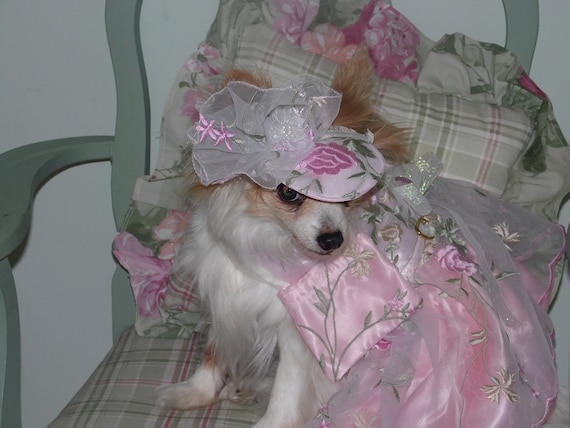 Wedding or Special Occasion CUSTOM ORGANZA BRIDESMAID dog dress Prom Check on timing and fabrics- made to order up to 20 lbs